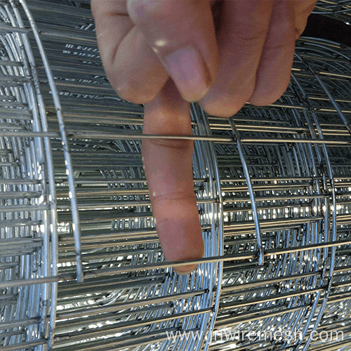 Stainless Steel Welded Wire Mesh